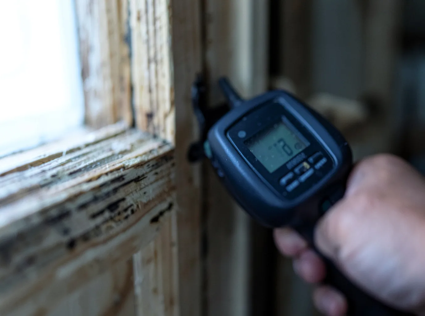 Moisture Inspection And Documentation in Hooppole, IL